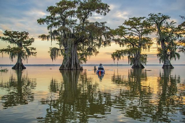 La Louisiane : immersion dans la culture cajun et les bayous